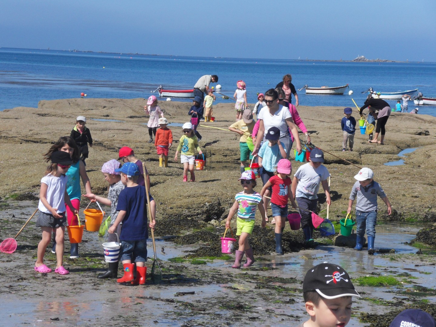 Découverte de la pêche à pied à la plage de la Grève Blanche